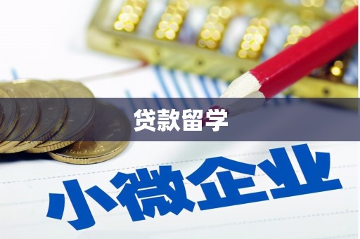 茂林贷款留学