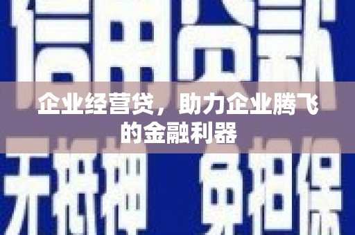 洛扎企业经营贷，助力企业腾飞的金融利器
