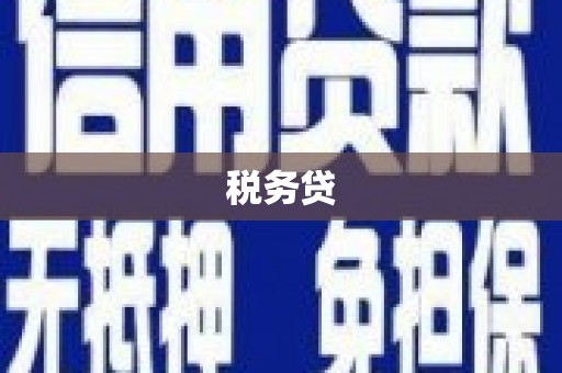 浦东税务贷