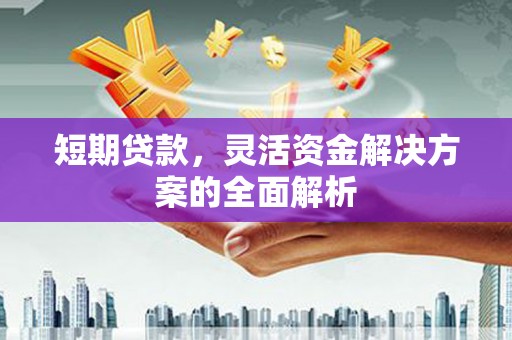 洛浦短期贷款，灵活资金解决方案的全面解析