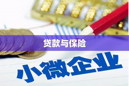 肥乡贷款与保险