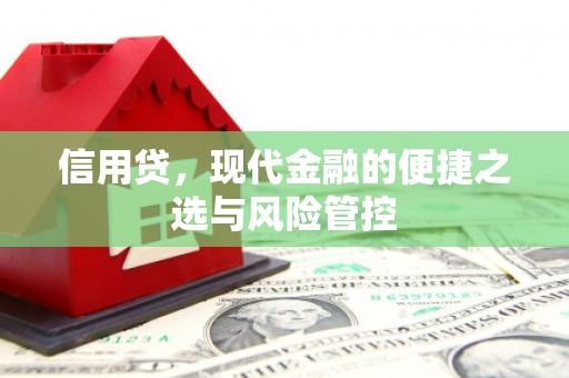 南乐信用贷，现代金融的便捷之选与风险管控
