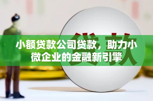 山上小额贷款公司贷款，助力小微企业的金融新引擎