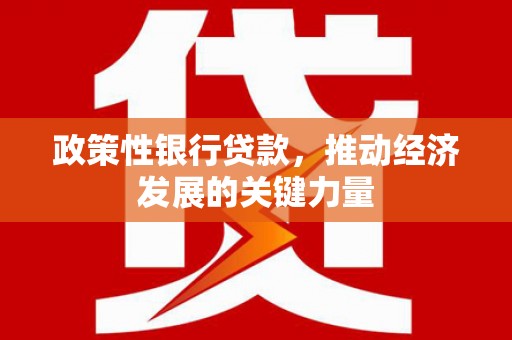 镇巴政策性银行贷款，推动经济发展的关键力量