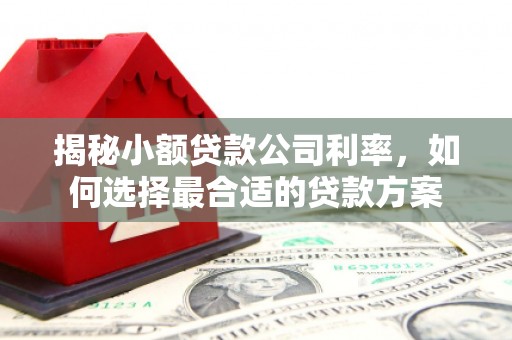临渭揭秘小额贷款公司利率，如何选择最合适的贷款方案