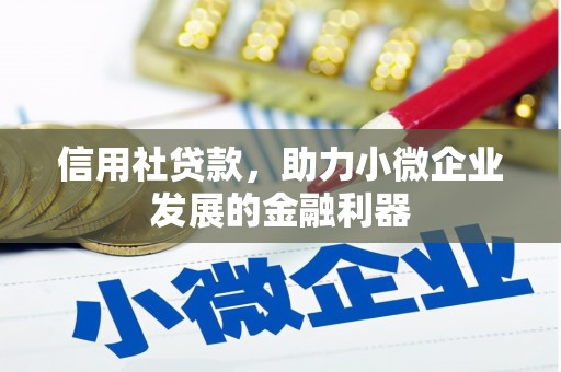 板芙信用社贷款，助力小微企业发展的金融利器