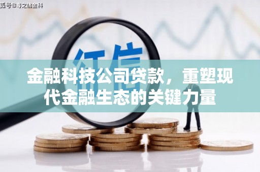 香格里拉金融科技公司贷款，重塑现代金融生态的关键力量