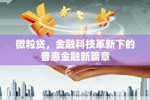 善化微粒贷，金融科技革新下的普惠金融新篇章