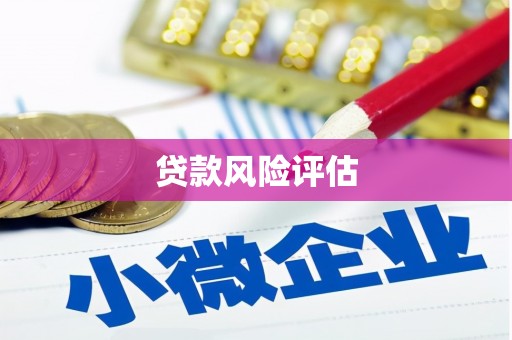 淮安贷款风险评估