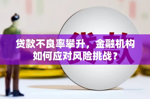 灵璧贷款不良率攀升，金融机构如何应对风险挑战？