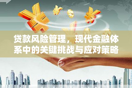 汝阳贷款风险管理，现代金融体系中的关键挑战与应对策略