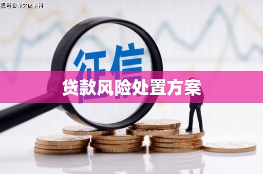涪陵贷款风险处置方案