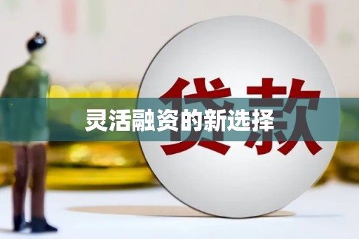 东胜灵活融资的新选择