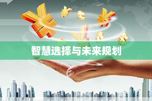 赵县智慧选择与未来规划