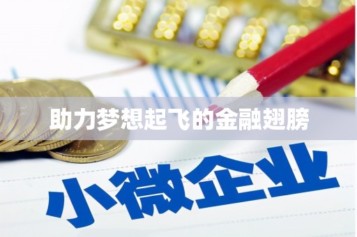 西夏助力梦想起飞的金融翅膀