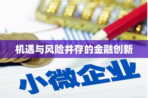 泌阳机遇与风险并存的金融创新