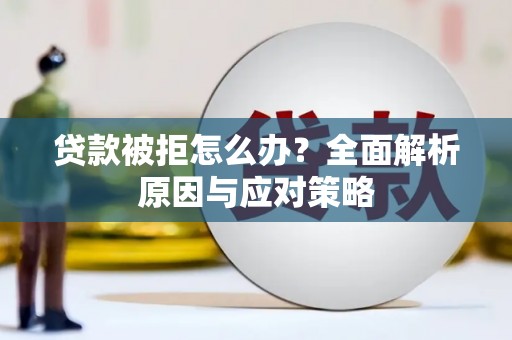 铁东贷款被拒怎么办？全面解析原因与应对策略