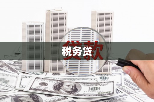 楠西税务贷