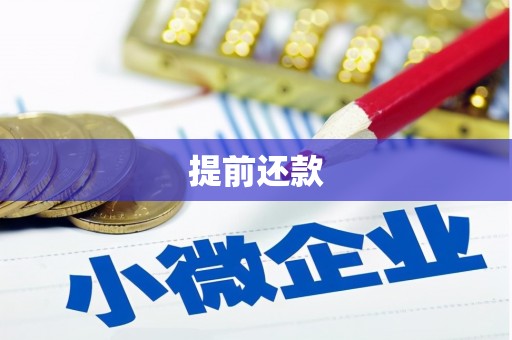 武山提前还款