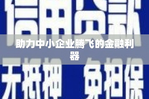 台前助力中小企业腾飞的金融利器