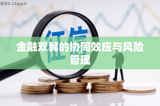 中方金融双翼的协同效应与风险管理