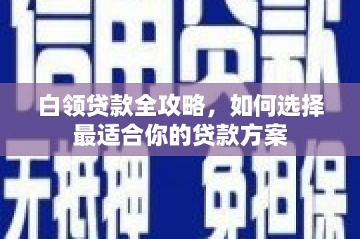 保税港区白领贷款全攻略，如何选择最适合你的贷款方案